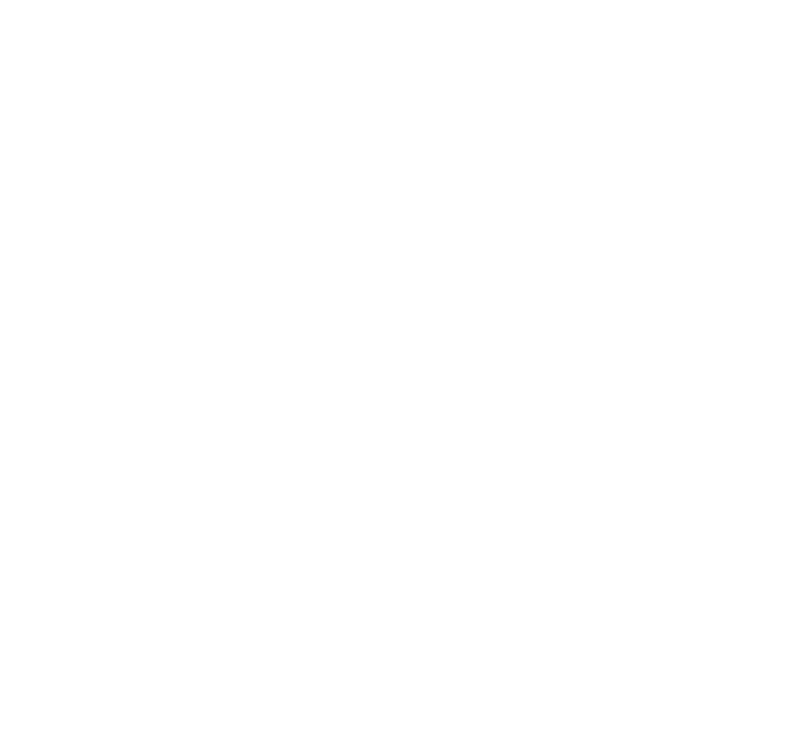 Logo Niosoft